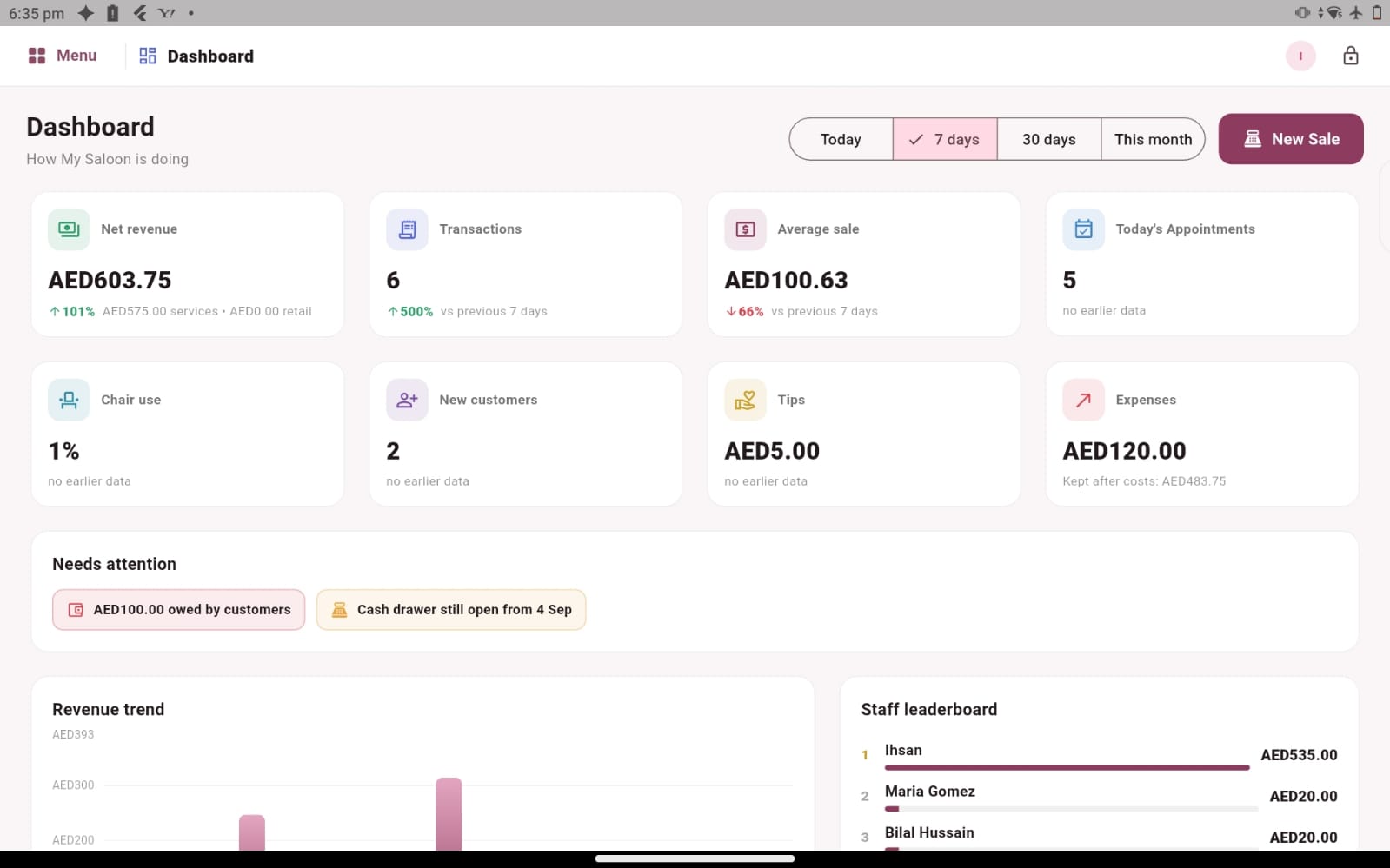 Salozi dashboard showing sales, appointments and expenses